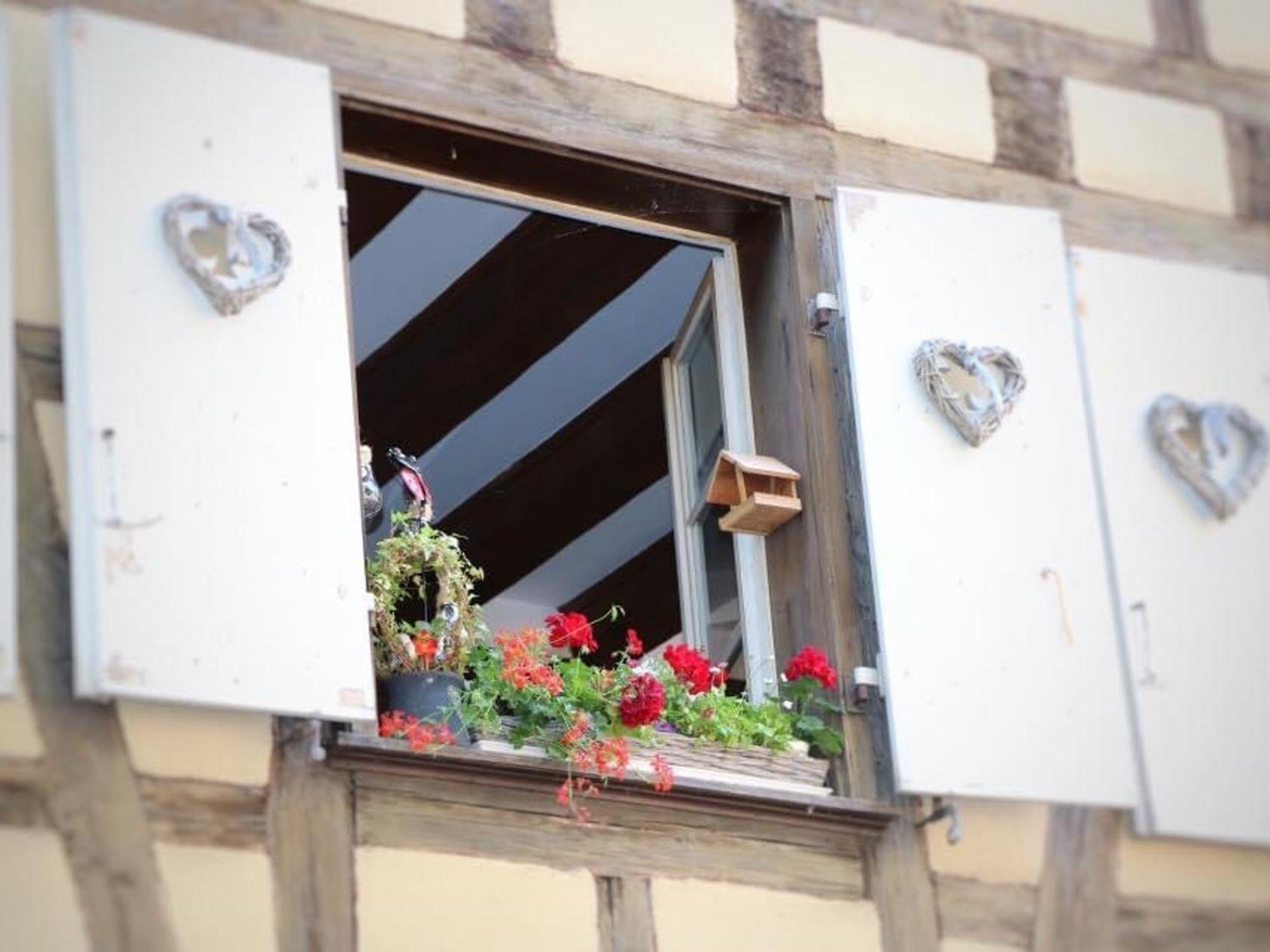 Charmant Appart Avec Garage Et Terrasse Au Coeur De Colmar, Pres De La Route Des Vins D'Alsace - Fr-1-722-6 מראה חיצוני תמונה