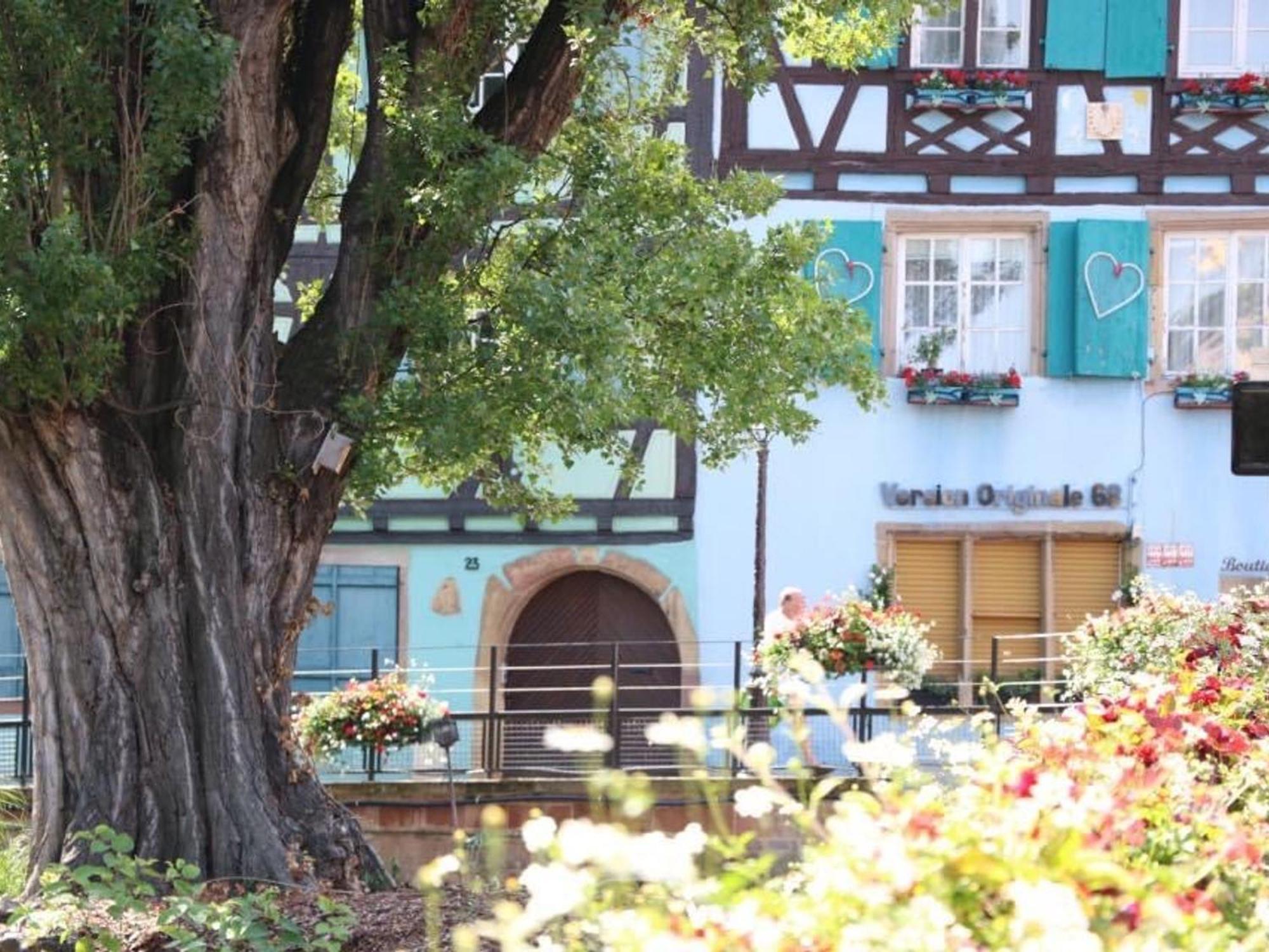Charmant Appart Avec Garage Et Terrasse Au Coeur De Colmar, Pres De La Route Des Vins D'Alsace - Fr-1-722-6 מראה חיצוני תמונה